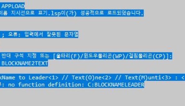 리습 오류 ( 블록 이름 지시선 추출 )